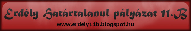 11B blog